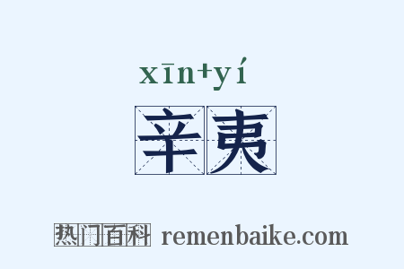 辛夷是什么意思的图片